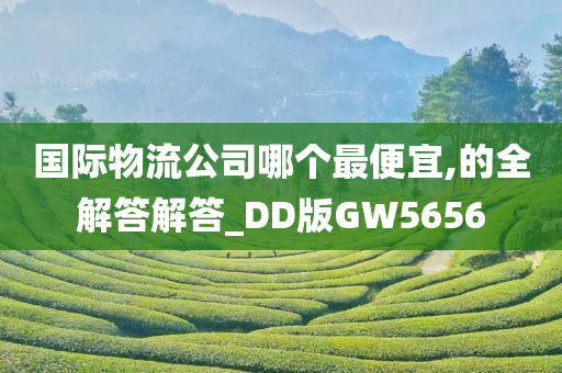 国际物流公司哪个最便宜,的全解答解答_DD版GW5656