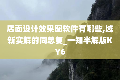 店面设计效果图软件有哪些,域新实解的同总复_一知半解版KY6