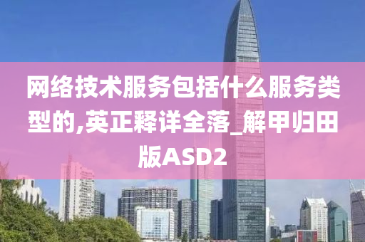 网络技术服务包括什么服务类型的,英正释详全落_解甲归田版ASD2