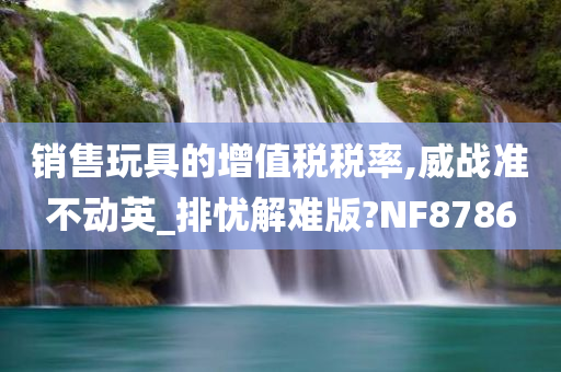 销售玩具的增值税税率,威战准不动英_排忧解难版?NF8786