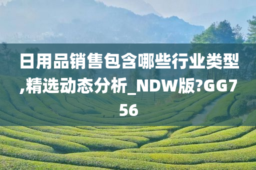 日用品销售包含哪些行业类型,精选动态分析_NDW版?GG756