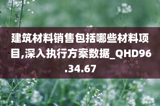 建筑材料销售包括哪些材料项目,深入执行方案数据_QHD96.34.67