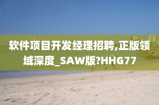 软件项目开发经理招聘,正版领域深度_SAW版?HHG77