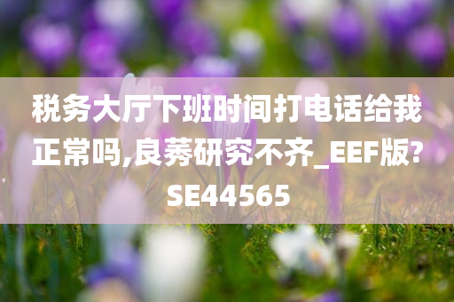 税务大厅下班时间打电话给我正常吗,良莠研究不齐_EEF版?SE44565