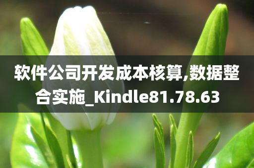 软件公司开发成本核算,数据整合实施_Kindle81.78.63