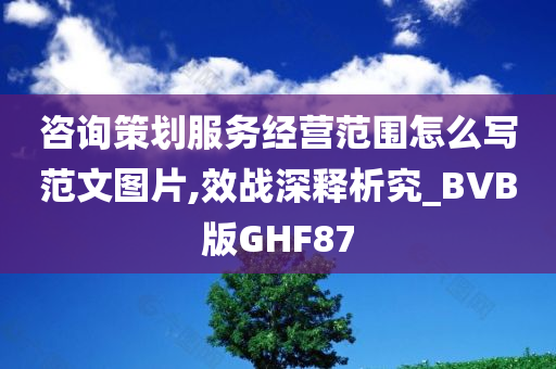 咨询策划服务经营范围怎么写范文图片,效战深释析究_BVB版GHF87