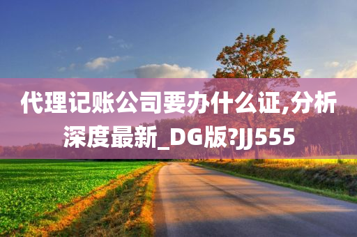 代理记账公司要办什么证,分析深度最新_DG版?JJ555