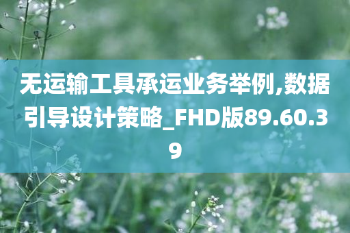 无运输工具承运业务举例,数据引导设计策略_FHD版89.60.39