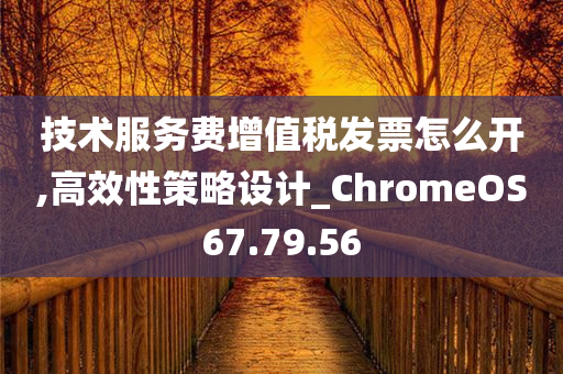 技术服务费增值税发票怎么开,高效性策略设计_ChromeOS67.79.56