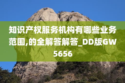 知识产权服务机构有哪些业务范围,的全解答解答_DD版GW5656