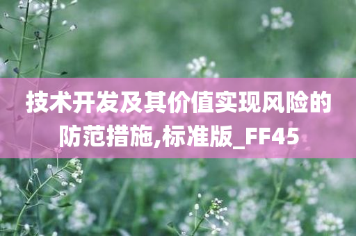 技术开发及其价值实现风险的防范措施,标准版_FF45