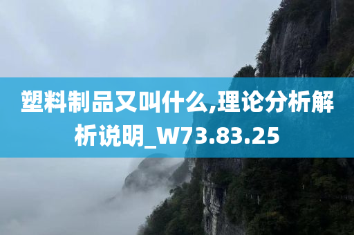 塑料制品又叫什么,理论分析解析说明_W73.83.25