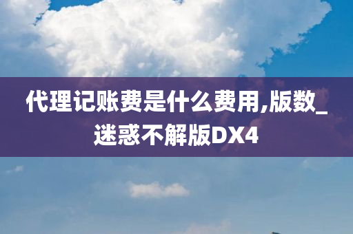 代理记账费是什么费用,版数_迷惑不解版DX4