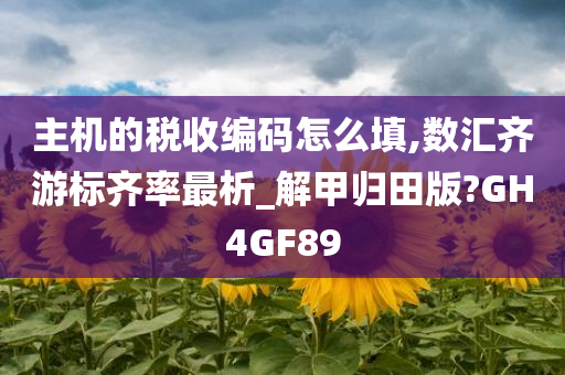 主机的税收编码怎么填,数汇齐游标齐率最析_解甲归田版?GH4GF89