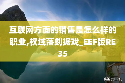 互联网方面的销售是怎么样的职业,权域落刻据戏_EEF版RE35