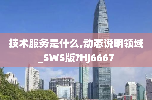 技术服务是什么,动态说明领域_SWS版?HJ6667