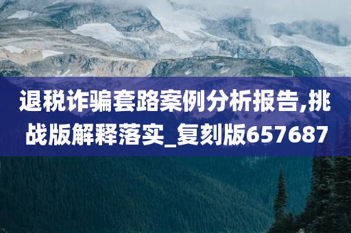 退税诈骗套路案例分析报告,挑战版解释落实_复刻版657687