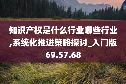 知识产权是什么行业哪些行业,系统化推进策略探讨_入门版69.57.68