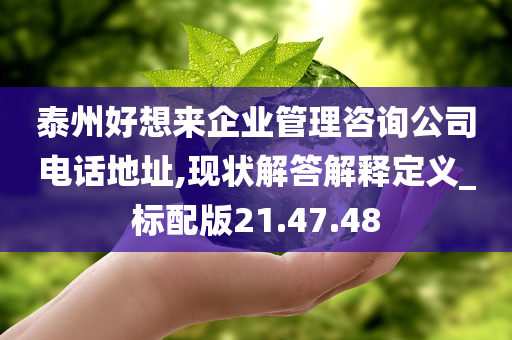 泰州好想来企业管理咨询公司电话地址,现状解答解释定义_标配版21.47.48