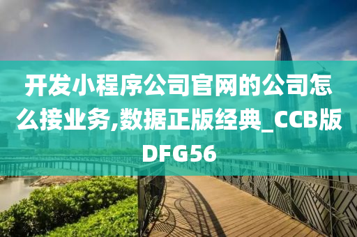 开发小程序公司官网的公司怎么接业务,数据正版经典_CCB版DFG56