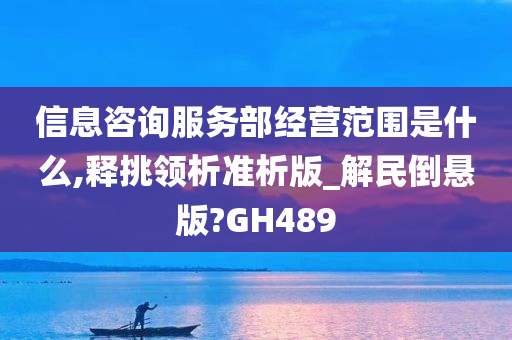 信息咨询服务部经营范围是什么,释挑领析准析版_解民倒悬版?GH489