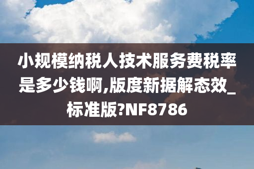 小规模纳税人技术服务费税率是多少钱啊,版度新据解态效_标准版?NF8786