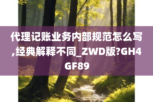 代理记账业务内部规范怎么写,经典解释不同_ZWD版?GH4GF89