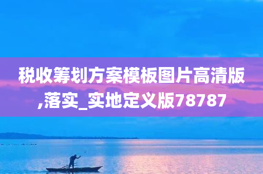 税收筹划方案模板图片高清版,落实_实地定义版78787