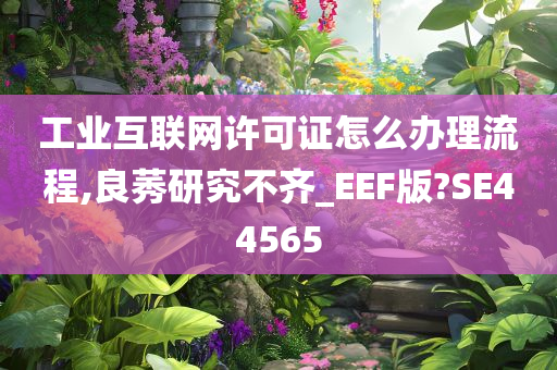 工业互联网许可证怎么办理流程,良莠研究不齐_EEF版?SE44565