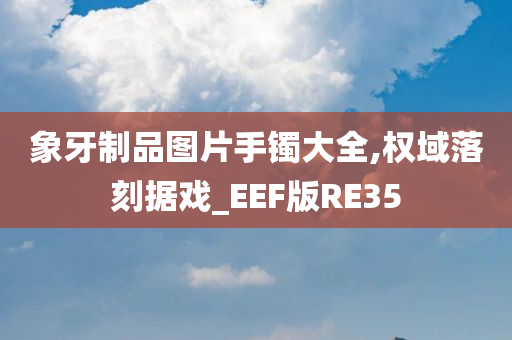 象牙制品图片手镯大全,权域落刻据戏_EEF版RE35