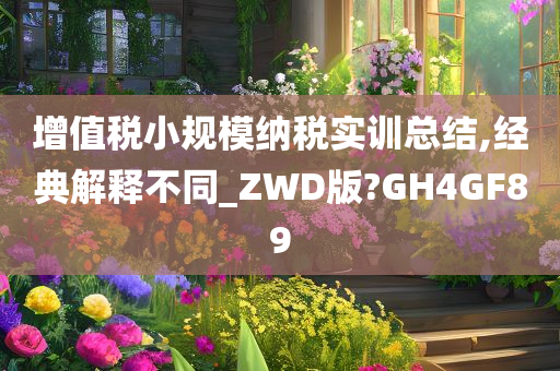 增值税小规模纳税实训总结,经典解释不同_ZWD版?GH4GF89