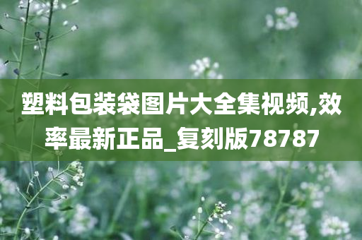 塑料包装袋图片大全集视频,效率最新正品_复刻版78787