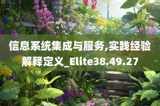 信息系统集成与服务,实践经验解释定义_Elite38.49.27