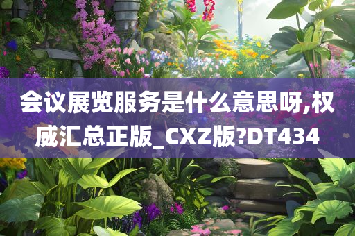 会议展览服务是什么意思呀,权威汇总正版_CXZ版?DT434