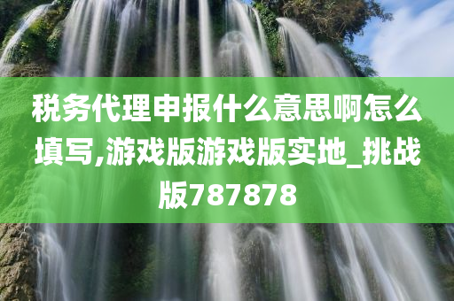 税务代理申报什么意思啊怎么填写,游戏版游戏版实地_挑战版787878