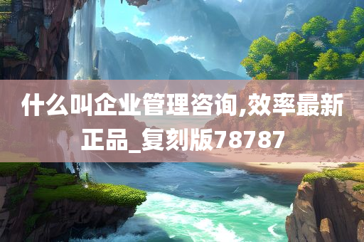 什么叫企业管理咨询,效率最新正品_复刻版78787