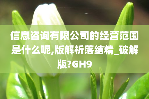 信息咨询有限公司的经营范围是什么呢,版解析落结精_破解版?GH9