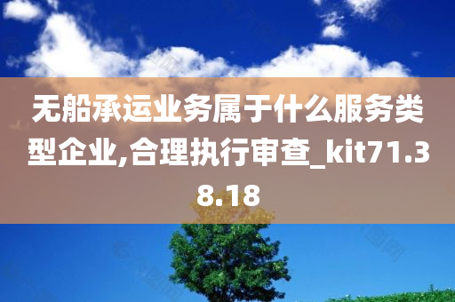 无船承运业务属于什么服务类型企业,合理执行审查_kit71.38.18