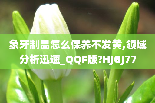 象牙制品怎么保养不发黄,领域分析迅速_QQF版?HJGJ77