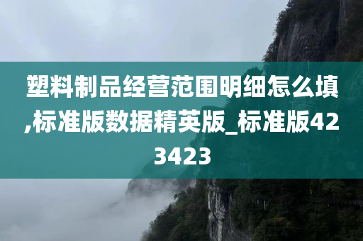 塑料制品经营范围明细怎么填,标准版数据精英版_标准版423423