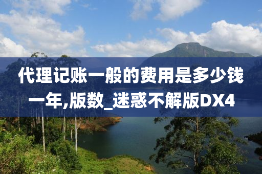 代理记账一般的费用是多少钱一年,版数_迷惑不解版DX4