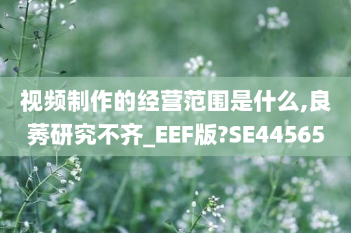 视频制作的经营范围是什么,良莠研究不齐_EEF版?SE44565