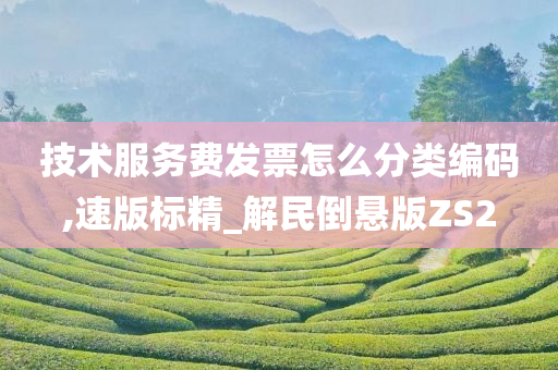 技术服务费发票怎么分类编码,速版标精_解民倒悬版ZS2