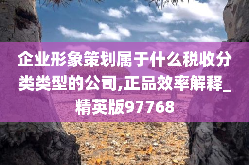 企业形象策划属于什么税收分类类型的公司,正品效率解释_精英版97768