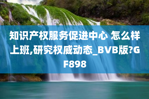 知识产权服务促进中心 怎么样上班,研究权威动态_BVB版?GF898