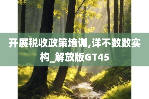 开展税收政策培训,详不数数实构_解放版GT45