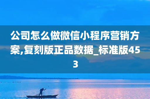 公司怎么做微信小程序营销方案,复刻版正品数据_标准版453