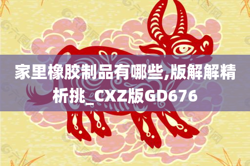 家里橡胶制品有哪些,版解解精析挑_CXZ版GD676