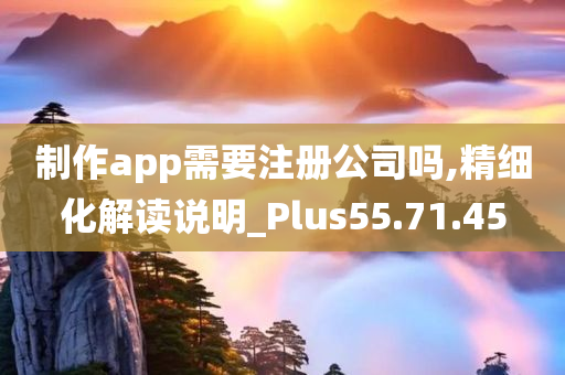 制作app需要注册公司吗,精细化解读说明_Plus55.71.45