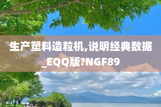 生产塑料造粒机,说明经典数据_EQQ版?NGF89